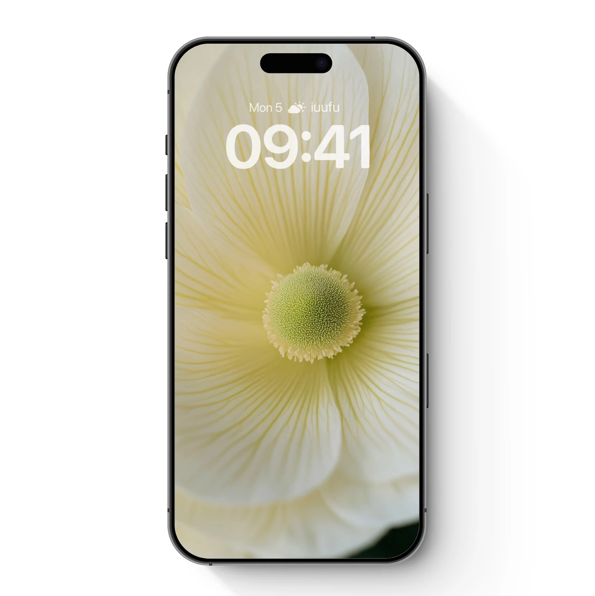 Ethereal Cream Petals: A Blossom's Gentle Embrace