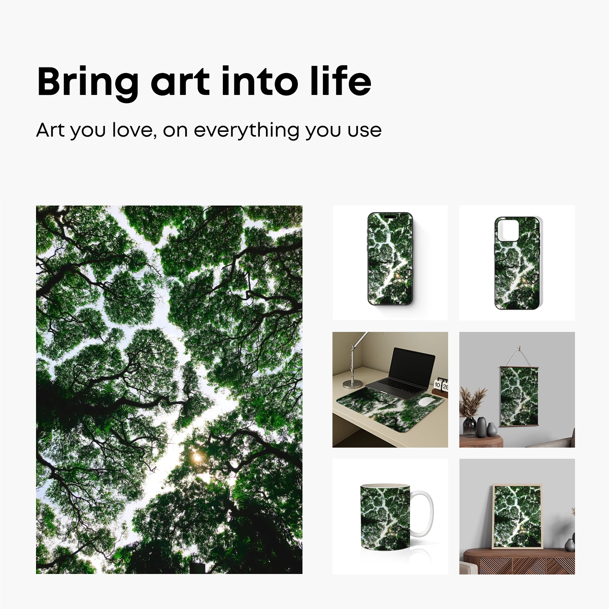 Canopy Cathedral: Sunlit Forest Embrace - Image 2