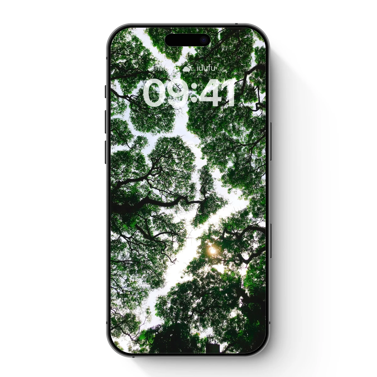 Canopy Cathedral: Sunlit Forest Embrace Canopy Cathedral: Sunlit Forest Embrace