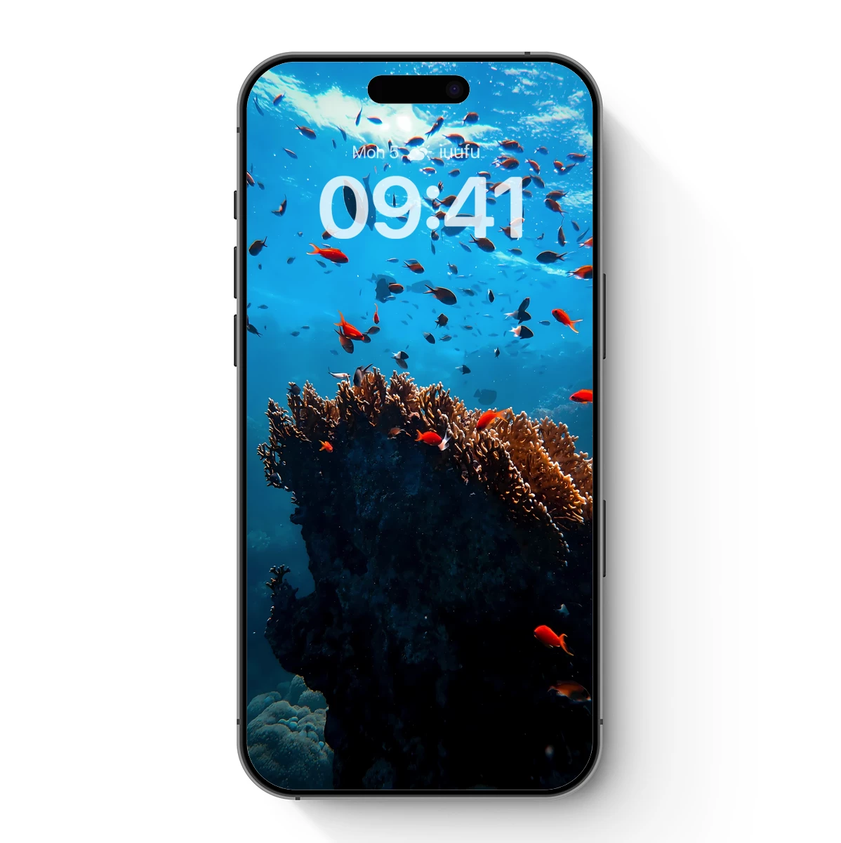 Coral Reef Symphony: Vibrant Fish Ballet