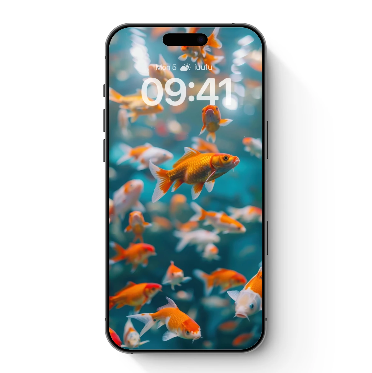 Golden Whispers: A Symphony of Koi Fish