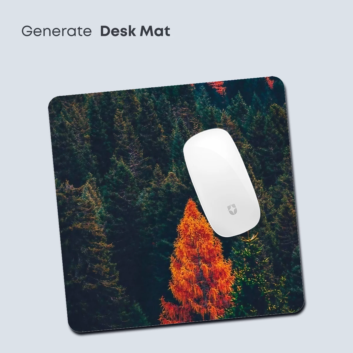 Autumn Blaze: Solitary Tree Amidst Evergreens - Image 4