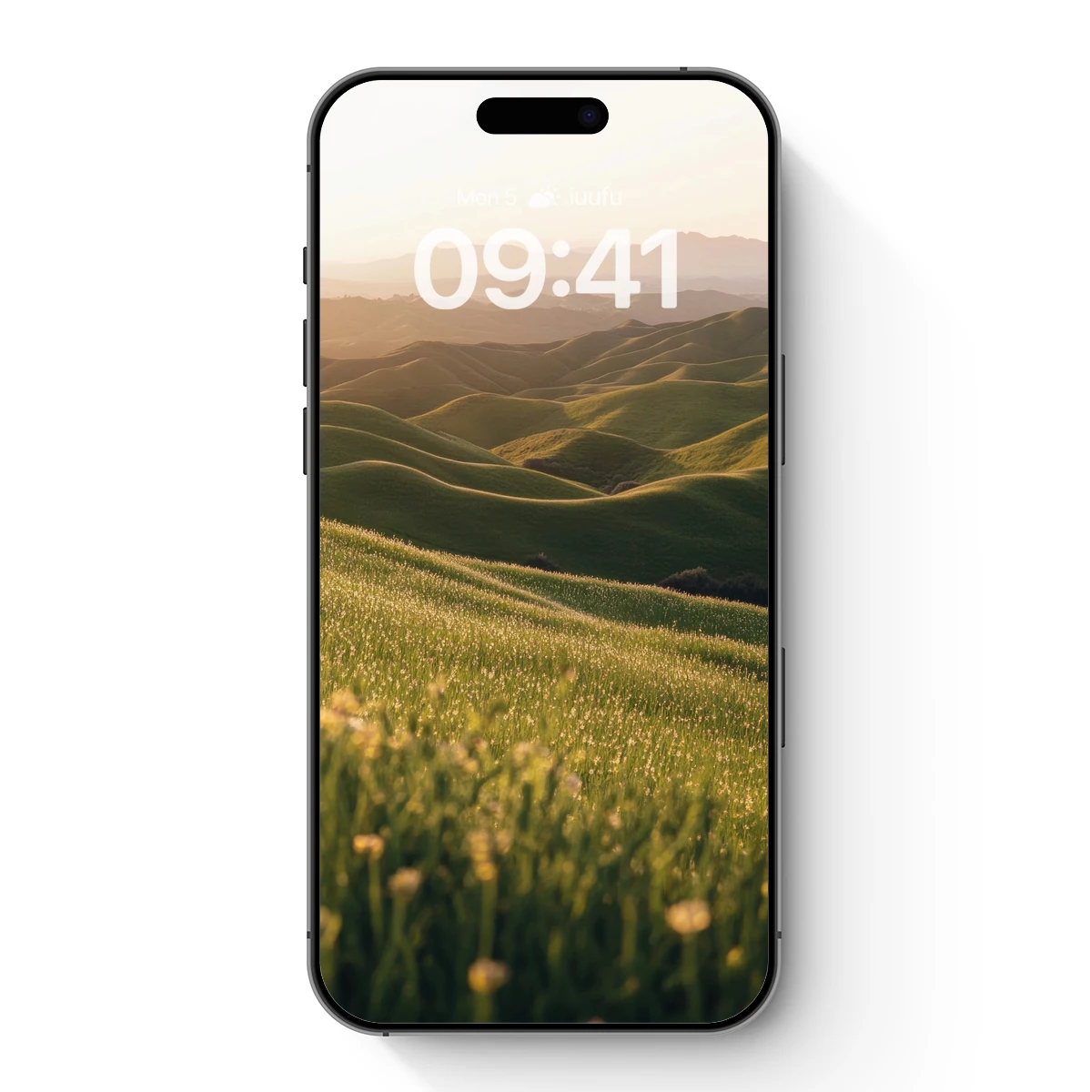 Golden Rolling Hills at Dawn