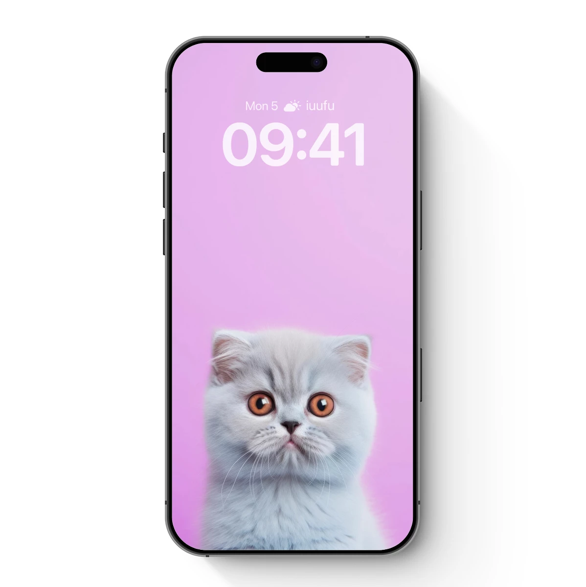 Fluffy Feline on Pink: Whimsical Cat Portrait