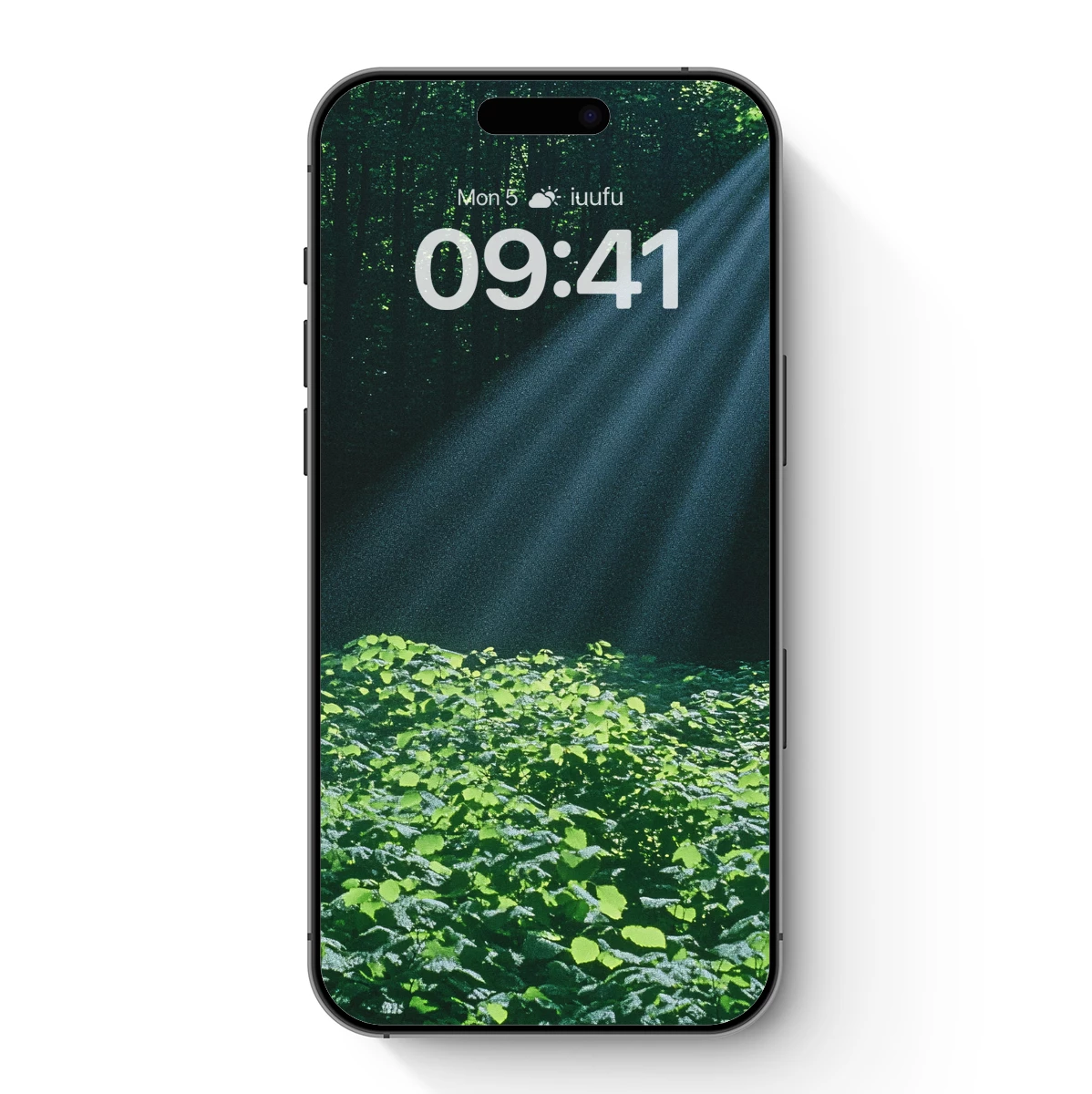 Forest Light Symphony: Nature's Radiance