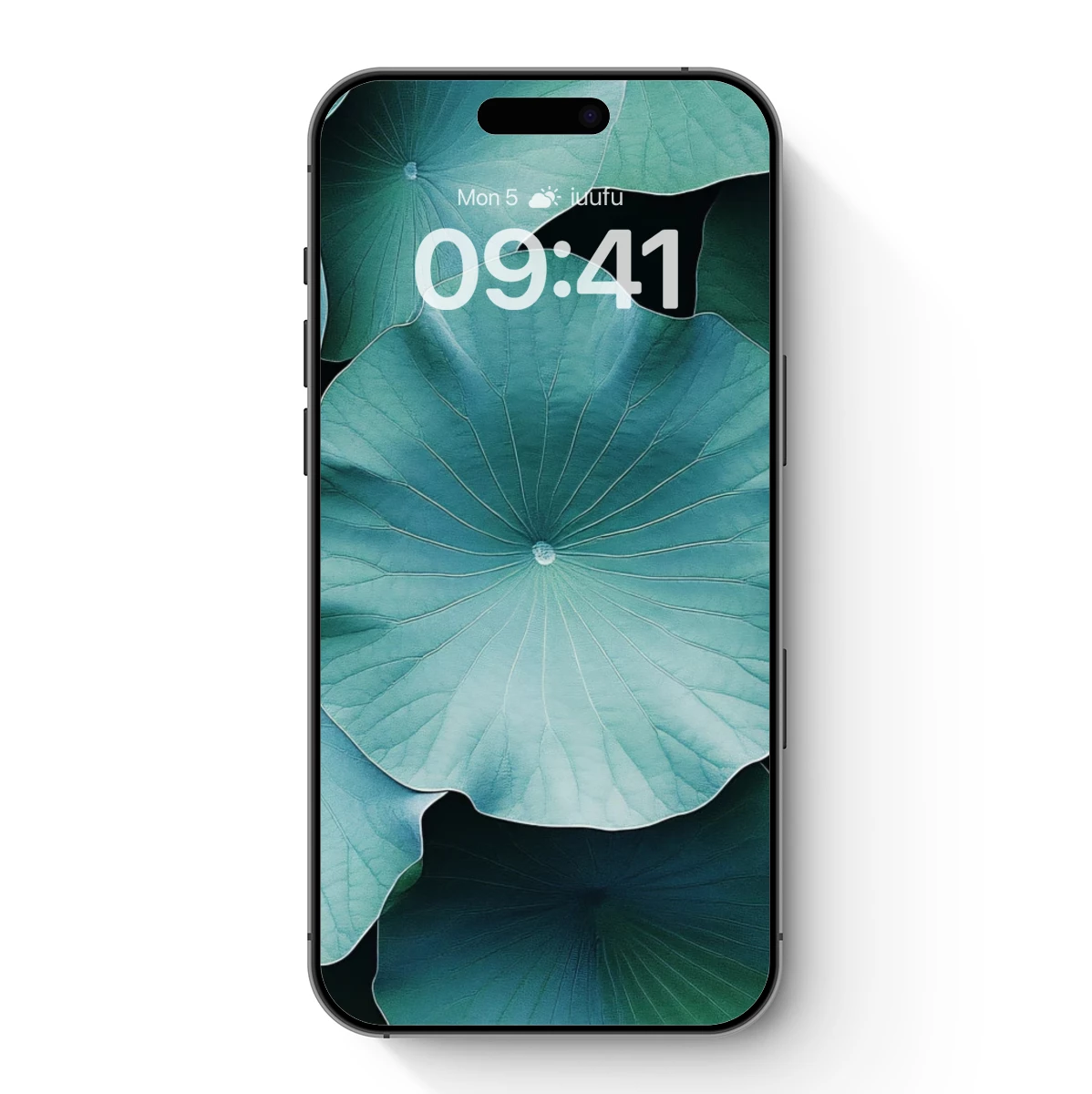 Ethereal Lotus Leaves: A Symphony in Teal