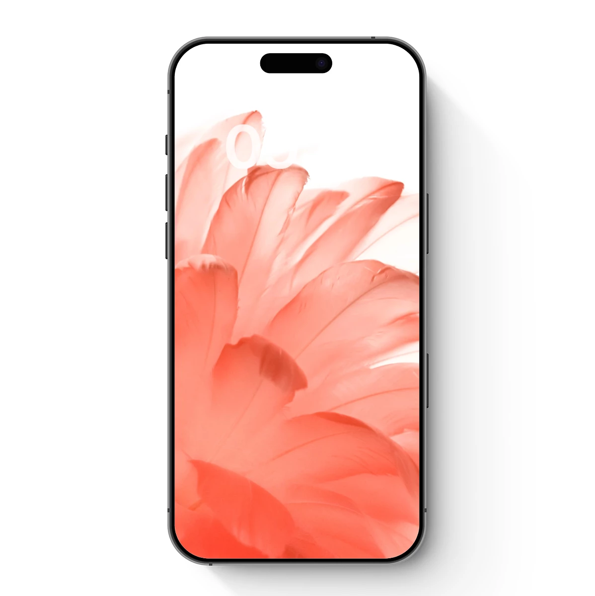 Coral Feather Symphony: Soft Textures in Bloom Coral Feather Symphony: Soft Textures in Bloom