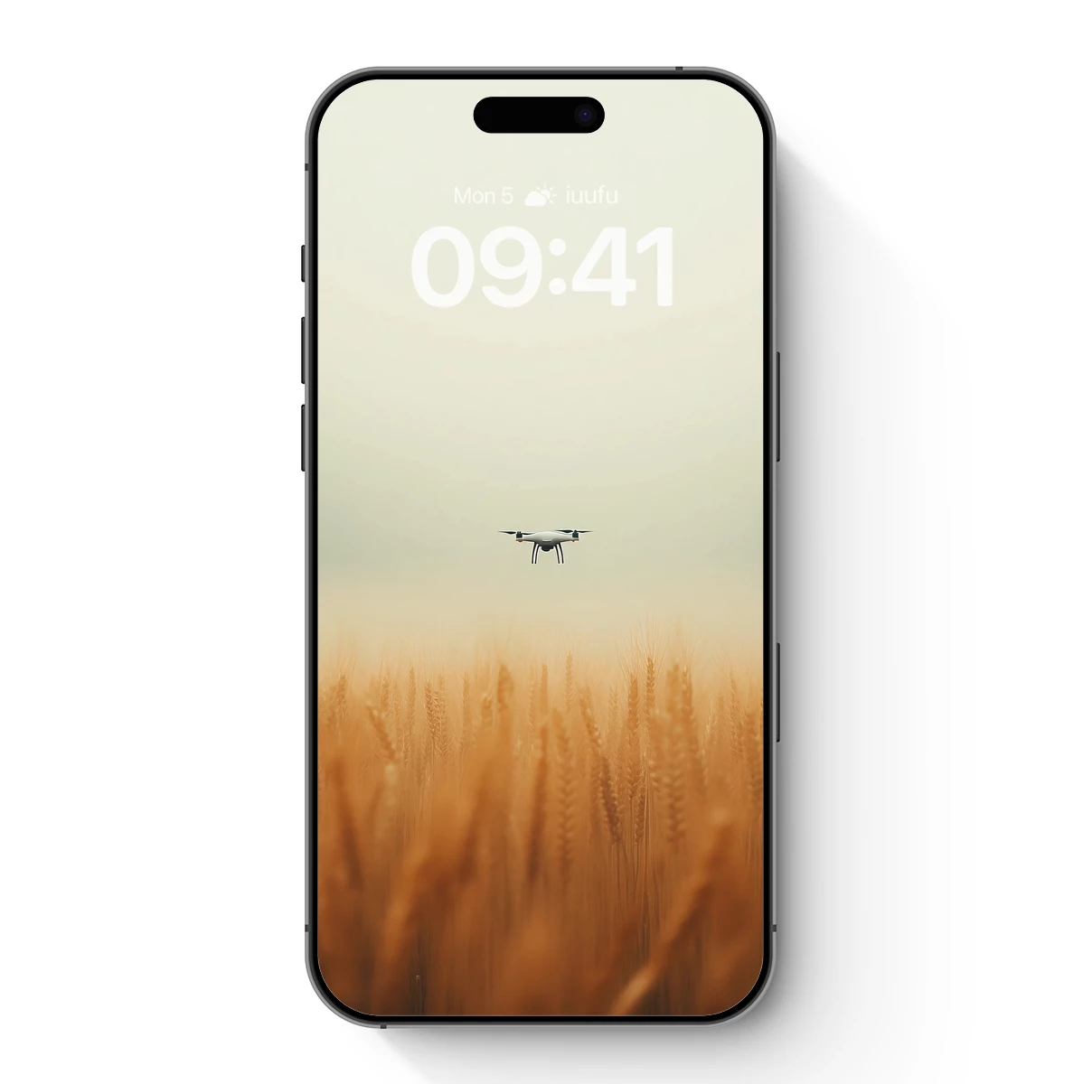 Drone Hovering Over Golden Wheat Field