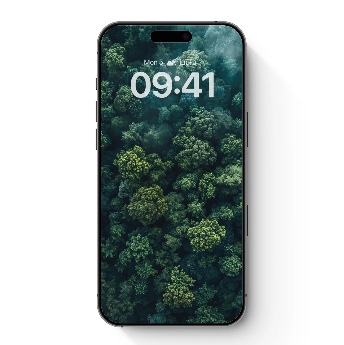 Canopy Whisper: Aerial Forest Serenity Canopy Whisper: Aerial Forest Serenity