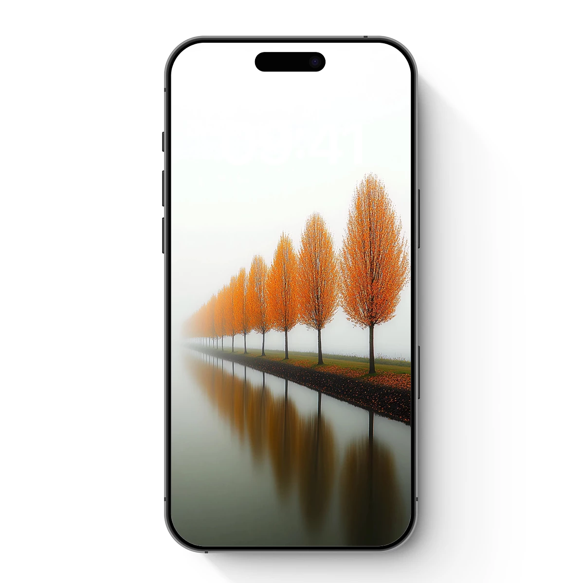 Foggy Autumn Reflections