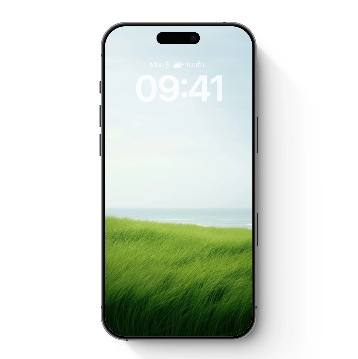 Eternal Grass Horizon Eternal Grass Horizon