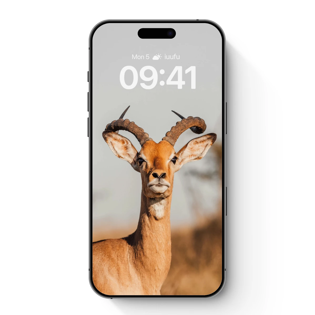 Gazelle's Majestic Gaze: Nature's Sculpted Elegance