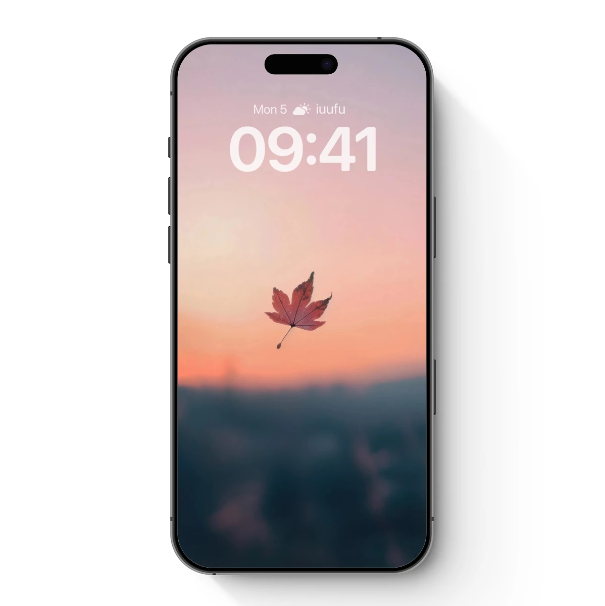 Autumn Leaf at Sunset: Serene Solitude