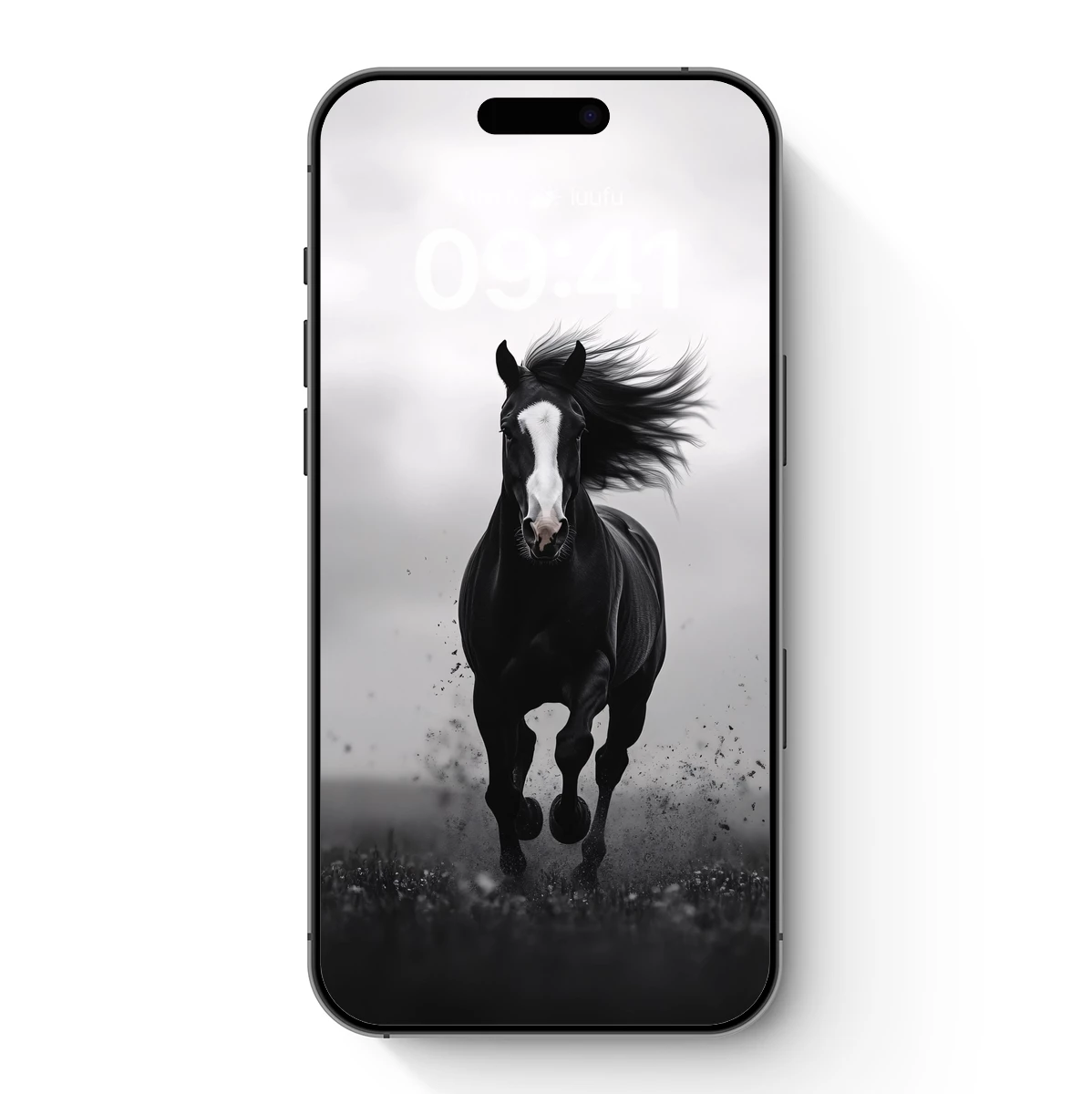 Galloping Black Stallion: Wind-Swept Majesty Galloping Black Stallion: Wind-Swept Majesty