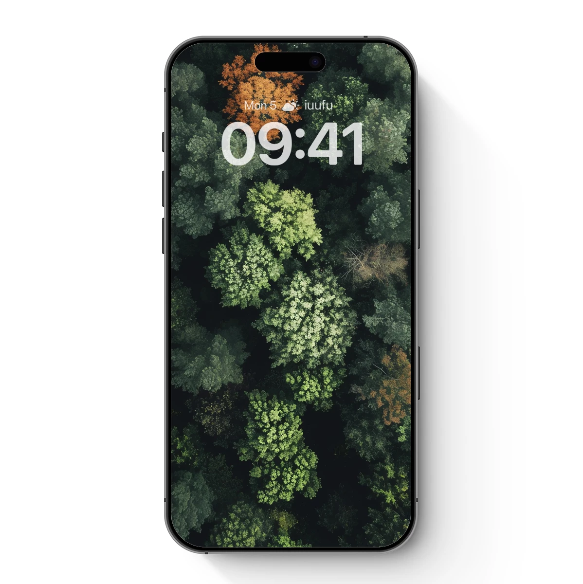 Autumn's Embrace in Verdant Forest