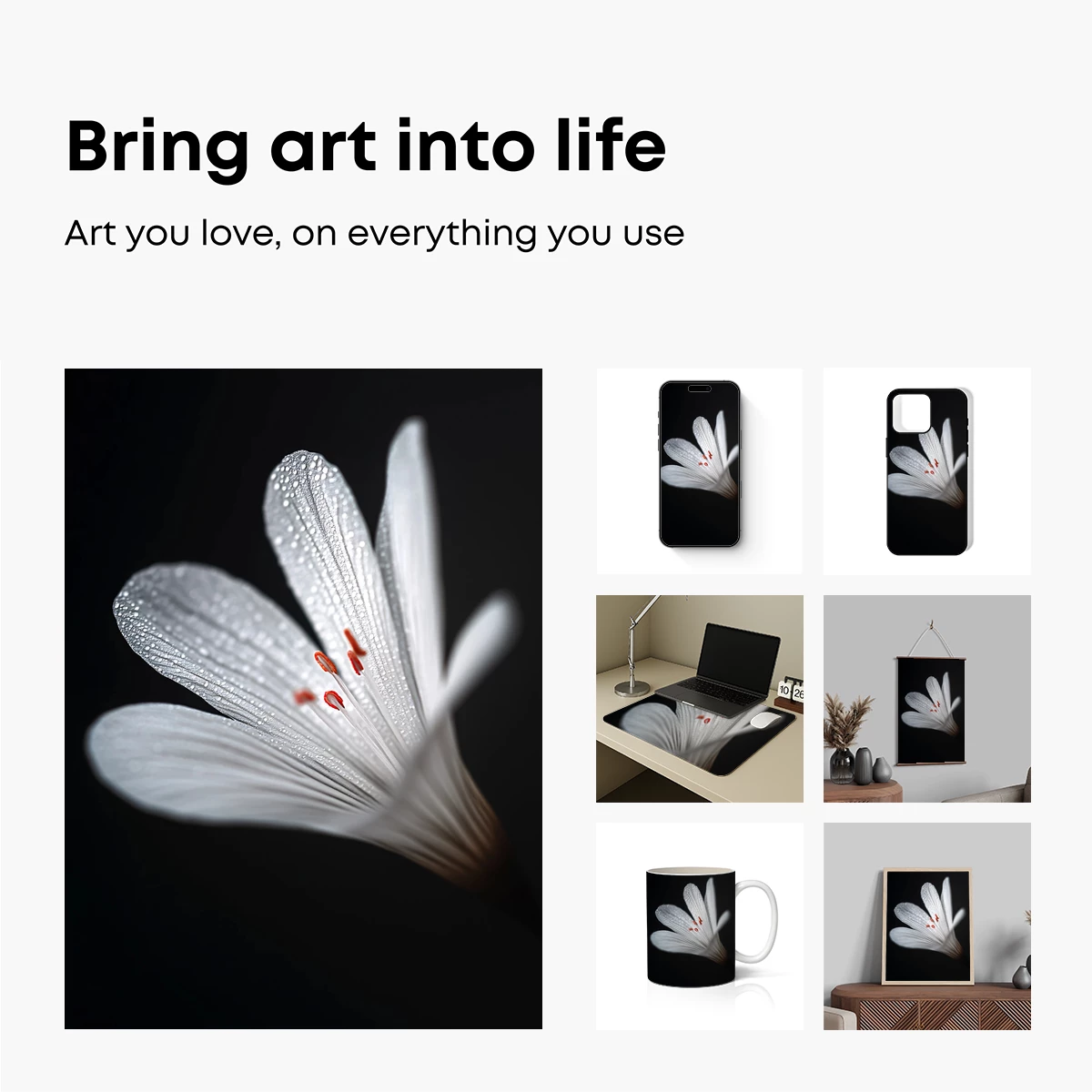 Dew-Kissed Elegance: White Lily in Shadow