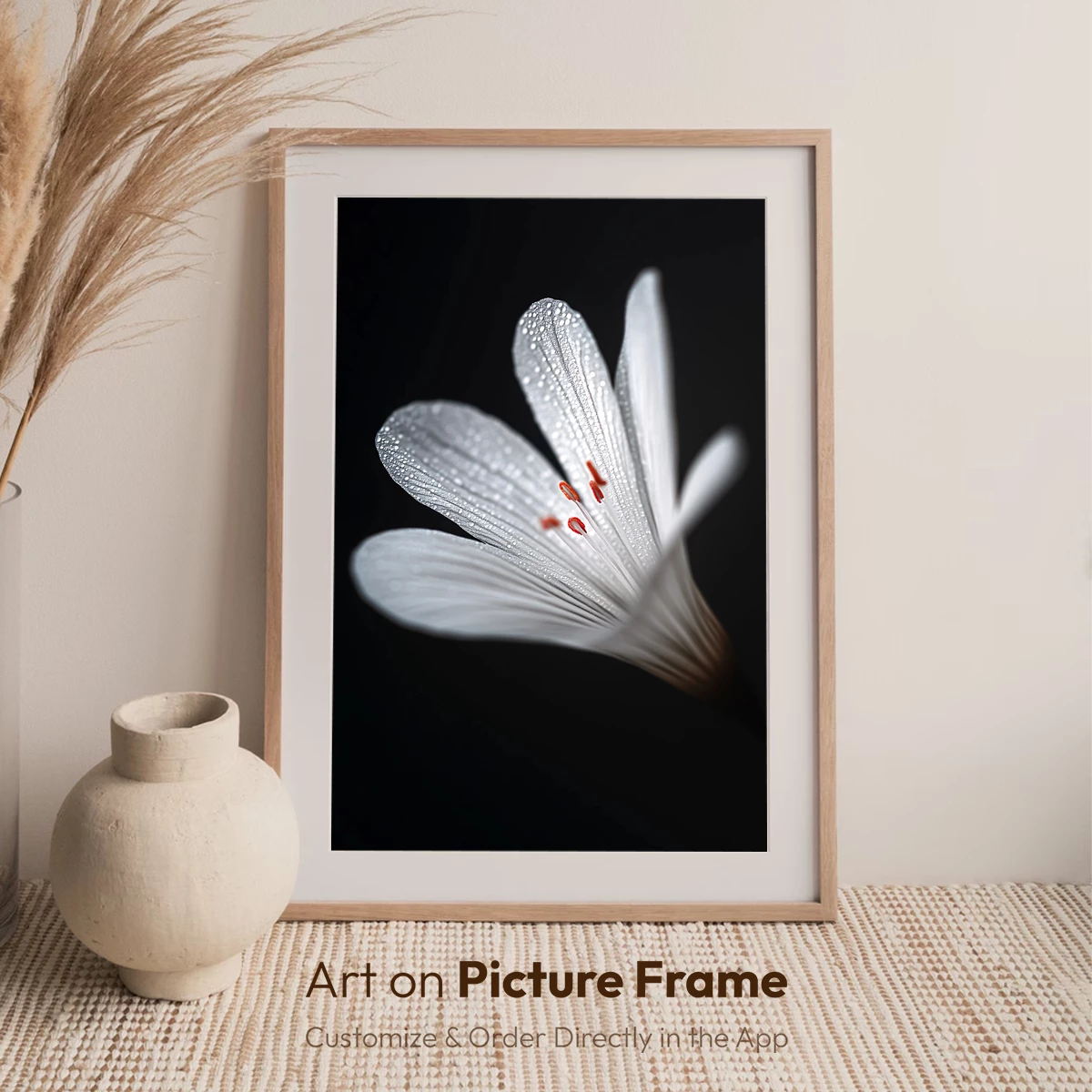 Dew-Kissed Elegance: White Lily in Shadow - Image 6