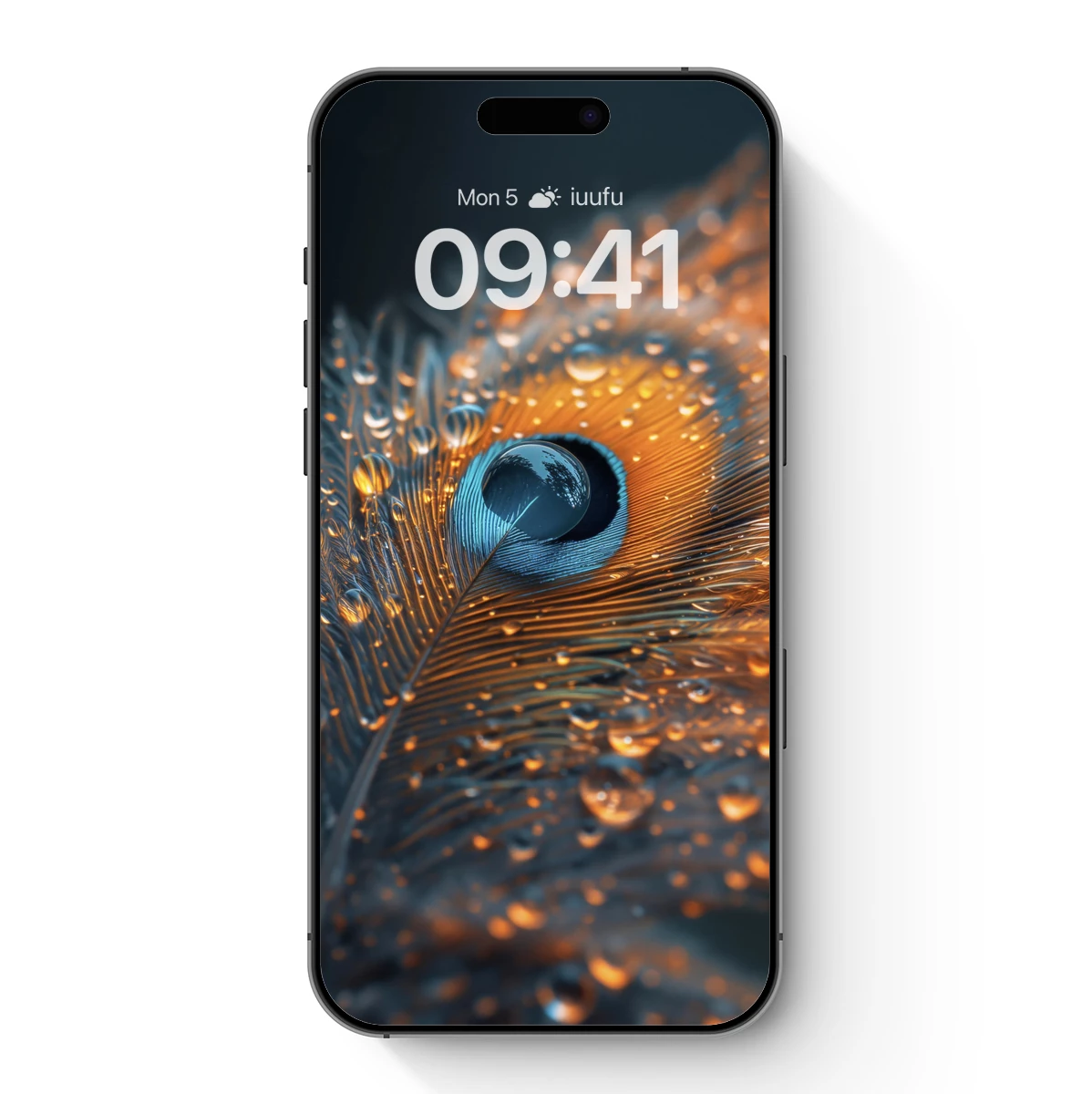 Dew-Drenched Peacock Feather