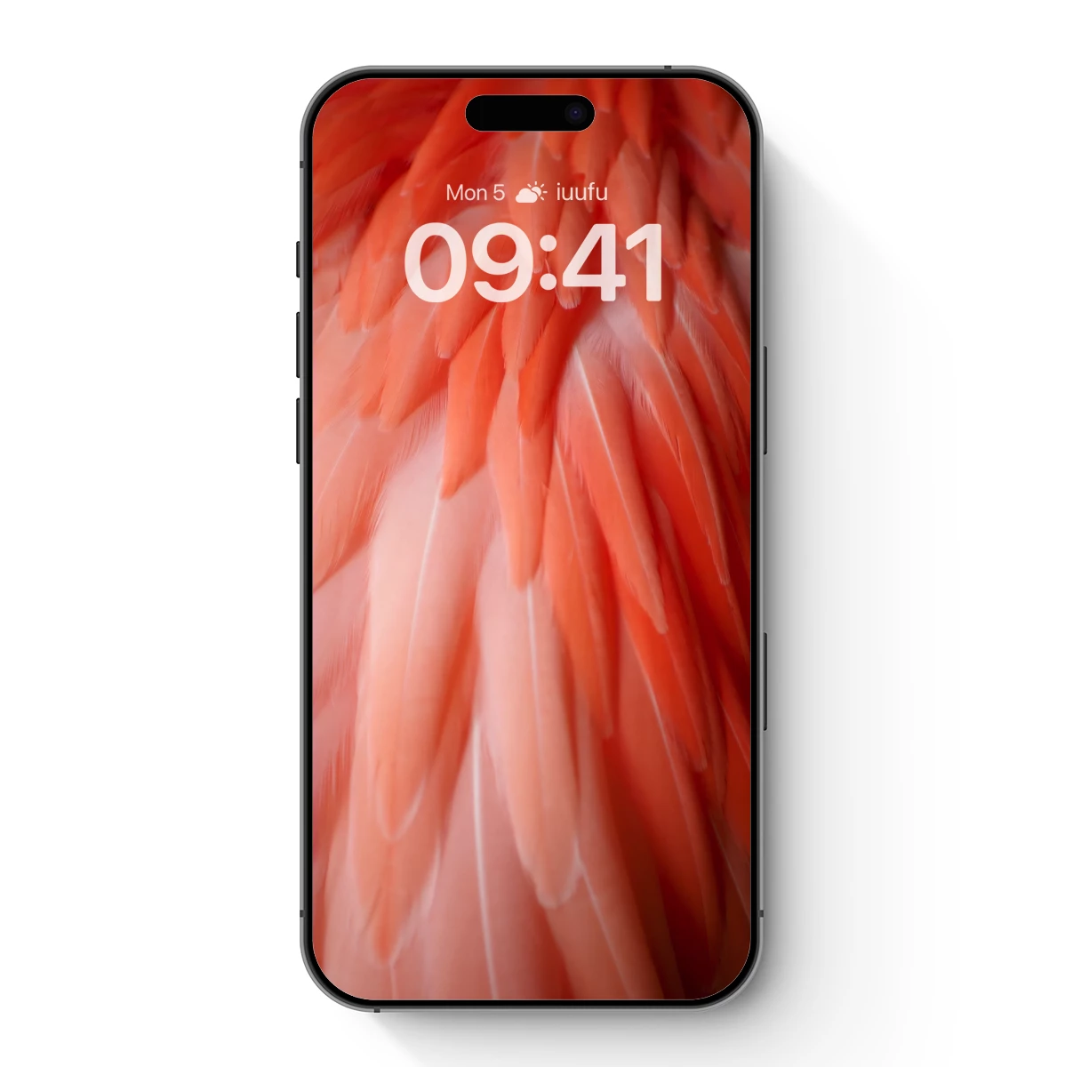 Feathered Symphony in Coral