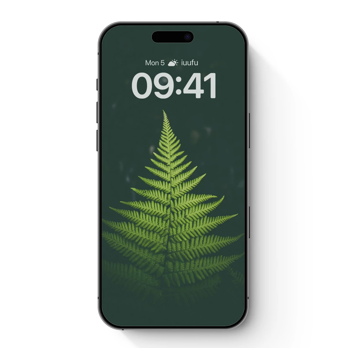 Fern Frond Elegance: Nature’s Symmetry in Green Fern Frond Elegance: Nature's Symmetry in Green