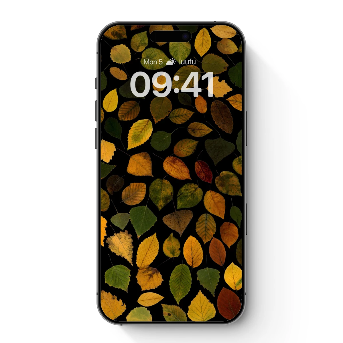 Autumn Leaf Symphony: A Palette of Nature's Hues