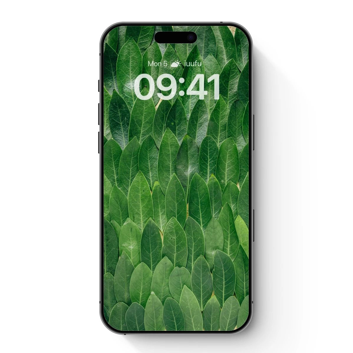 Green Leaf Symphony: Nature's Textured Harmony