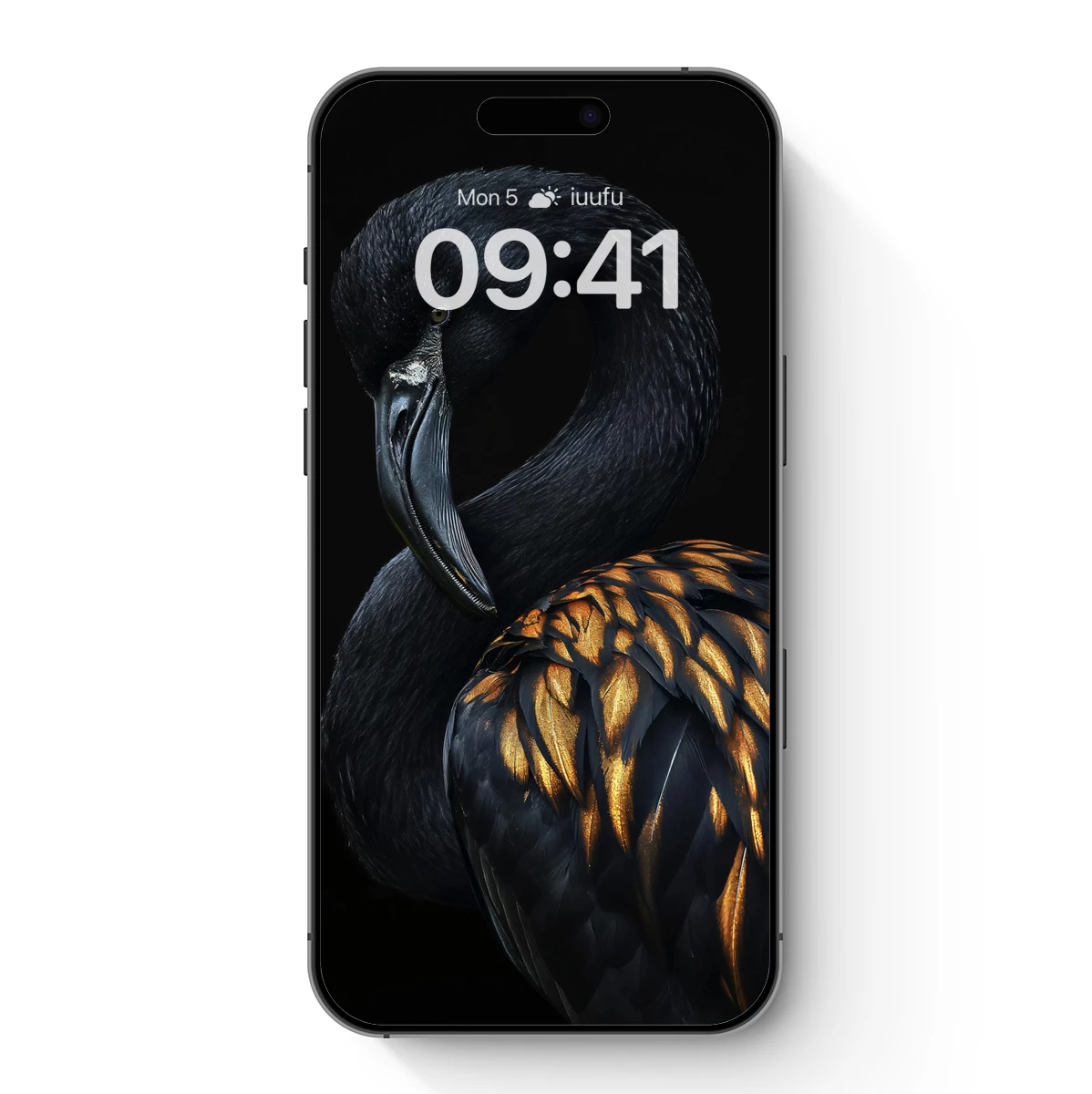 Eclipse Flamingo: Dark Elegance with Golden Wings
