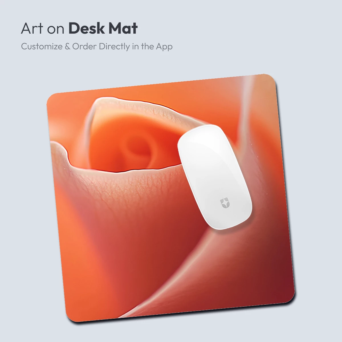 Coral Rose Whispers: Soft Petal Elegance - Image 4