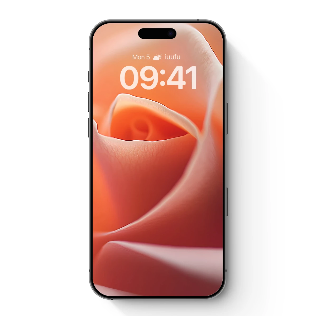 Coral Rose Whispers: Soft Petal Elegance