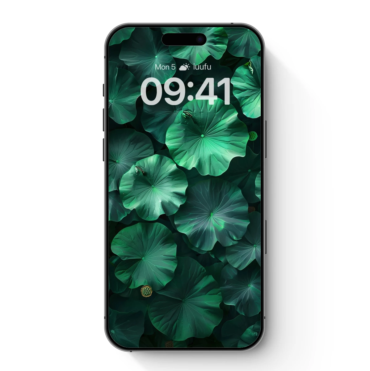 Emerald Lotus Symphony: Nature's Abstract Canvas