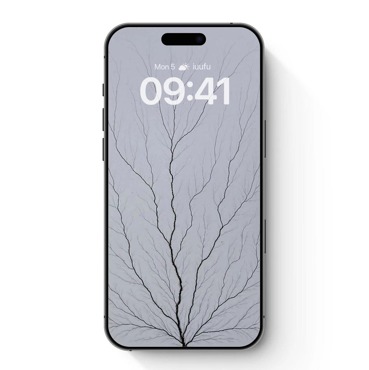 Bare Winter Branches: A Study in Symmetry