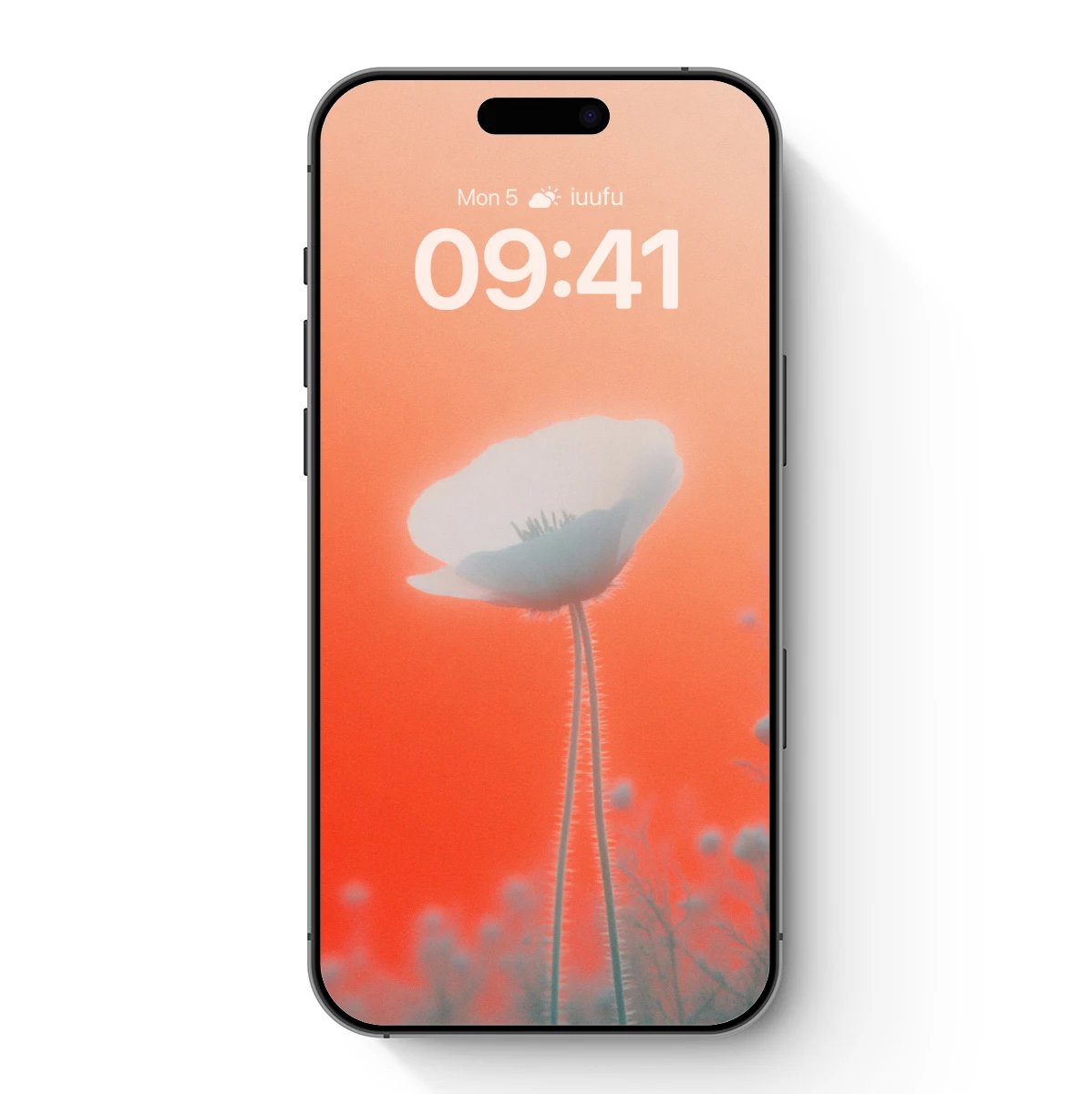 Ethereal Poppy in Coral Haze