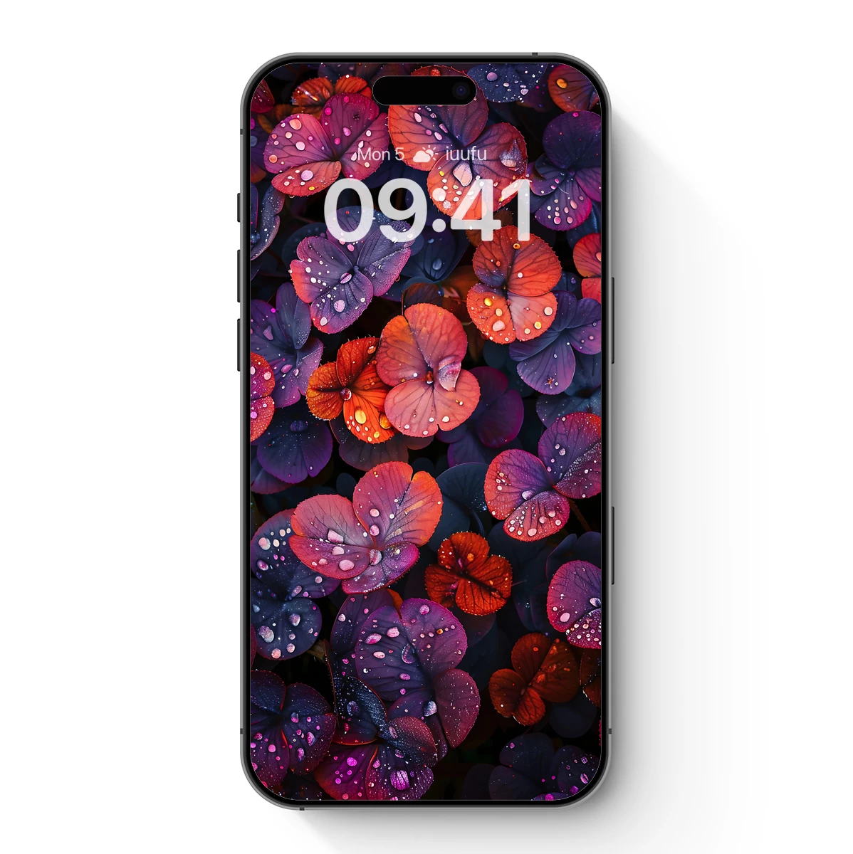 Dew-Kissed Petals: A Symphony of Color and Texture