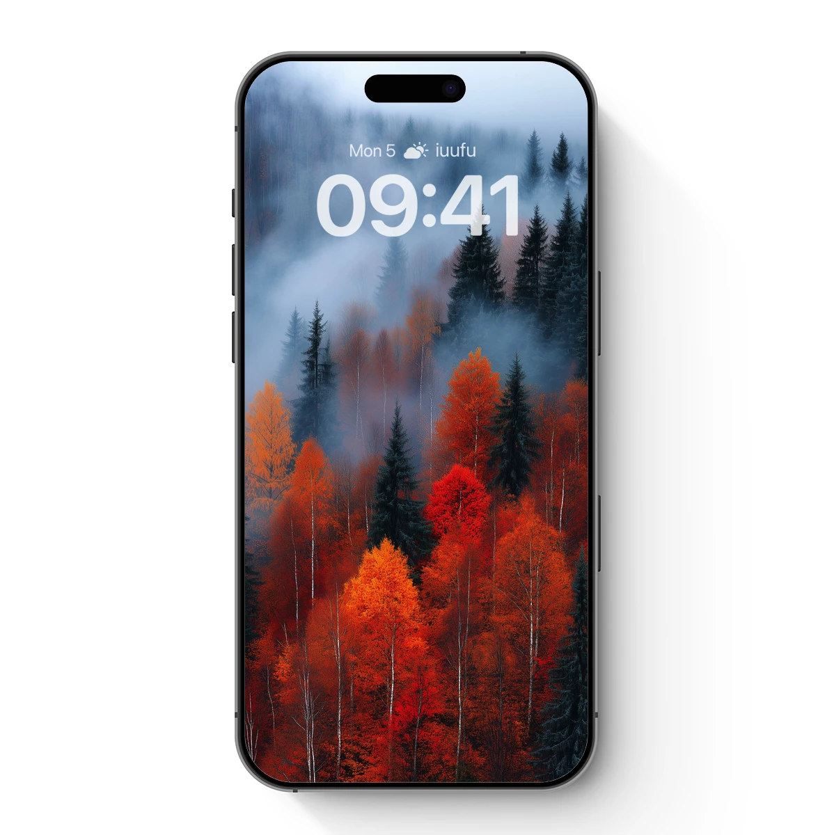Misty Autumn Forest: A Symphony of Colors