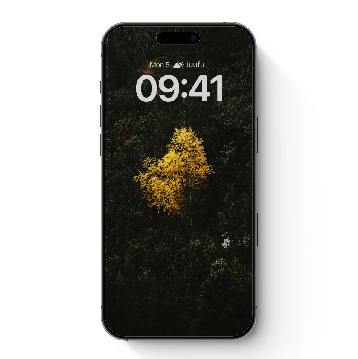 Golden Tree Amidst Dark Forest