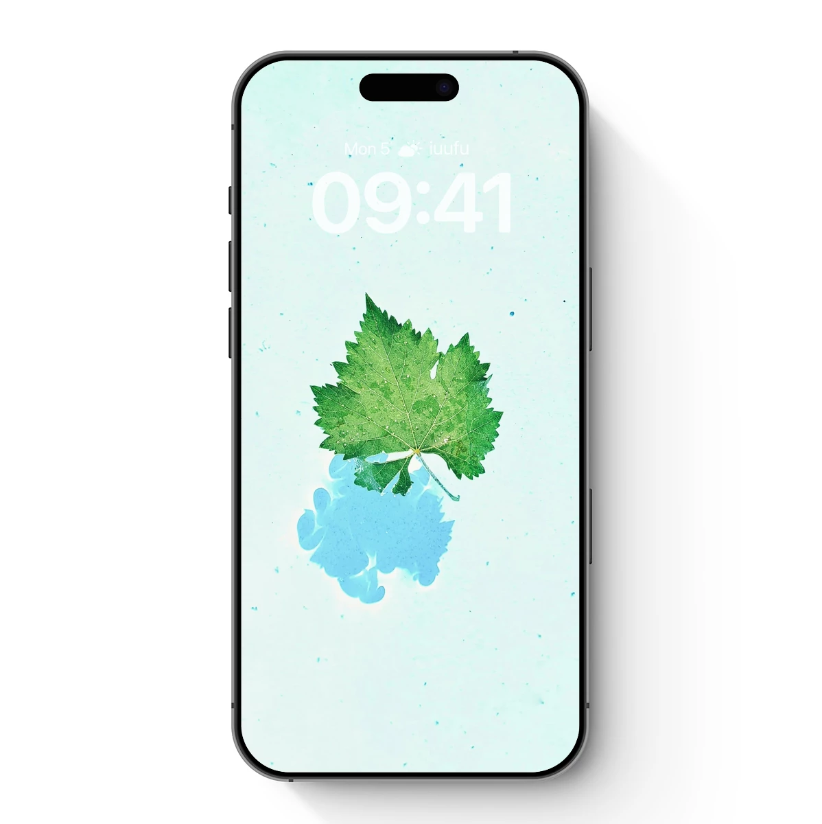 Leaf Reflection: Nature’s Mirror in Aqua Leaf Reflection: Nature's Mirror in Aqua