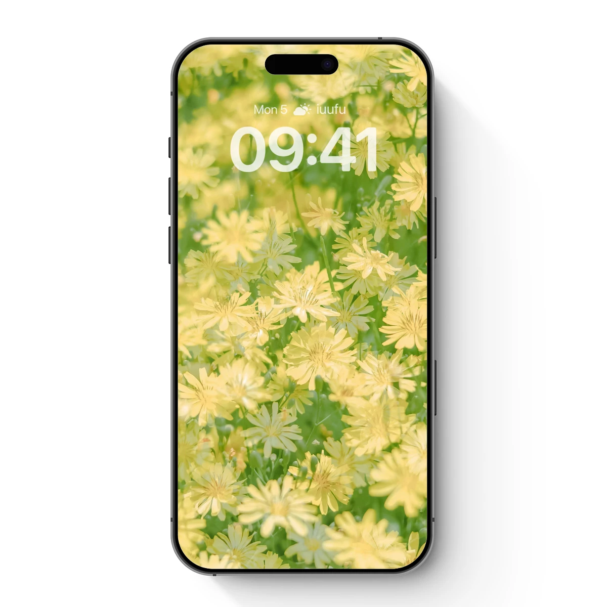 Golden Dandelion Dream