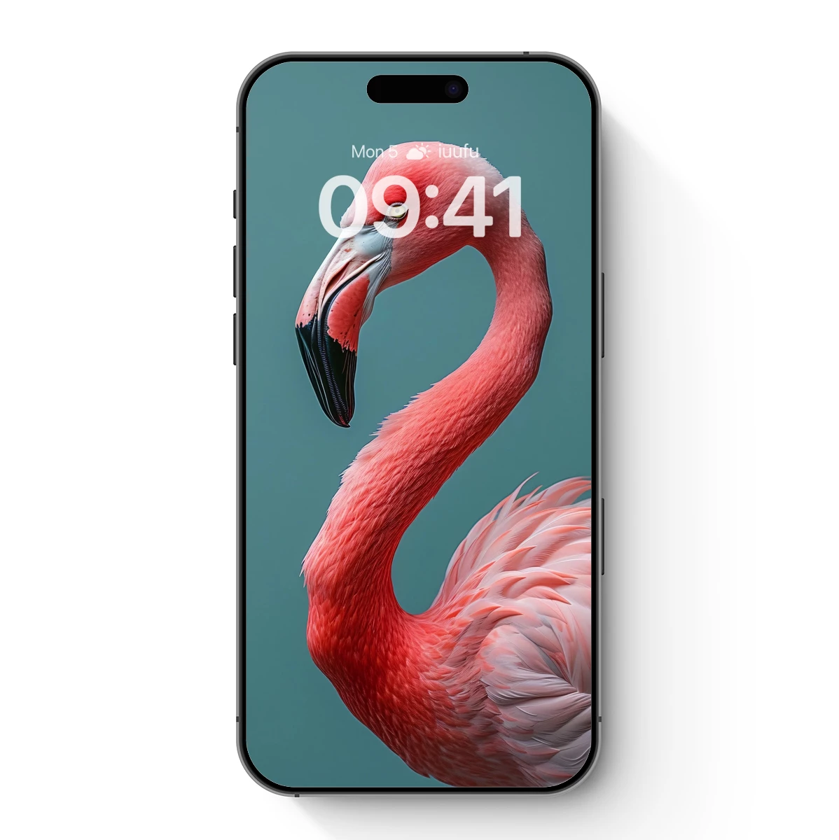 Elegant Pink Flamingo in Serene Profile Elegant Pink Flamingo in Serene Profile