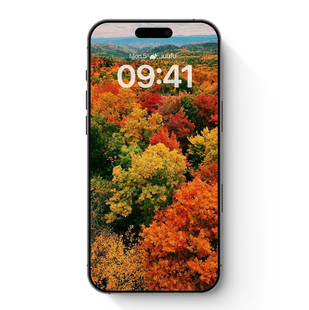 Autumn Blaze: A Symphony of Fall Colors