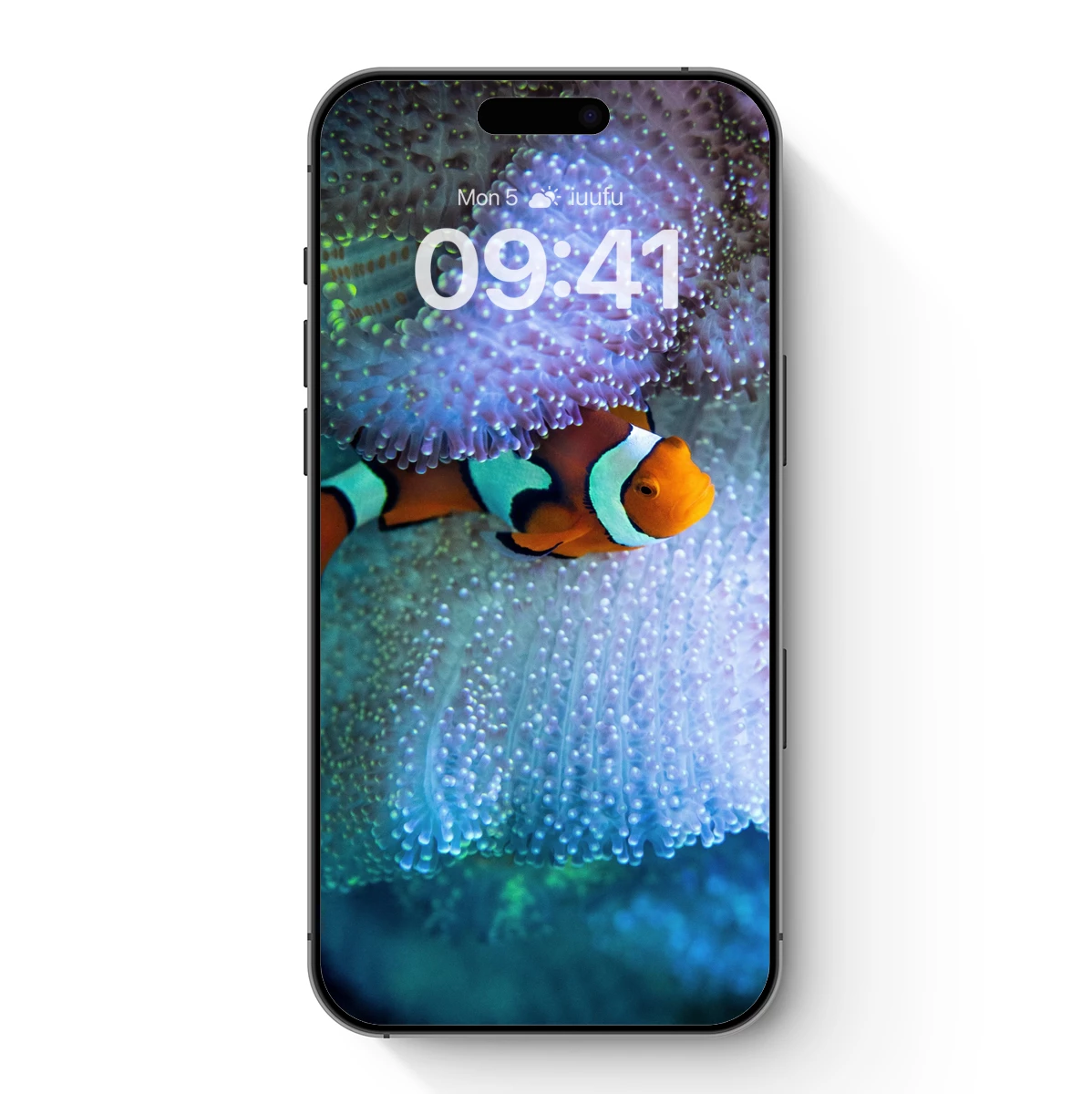 Clownfish in Coral Embrace: Underwater Harmony