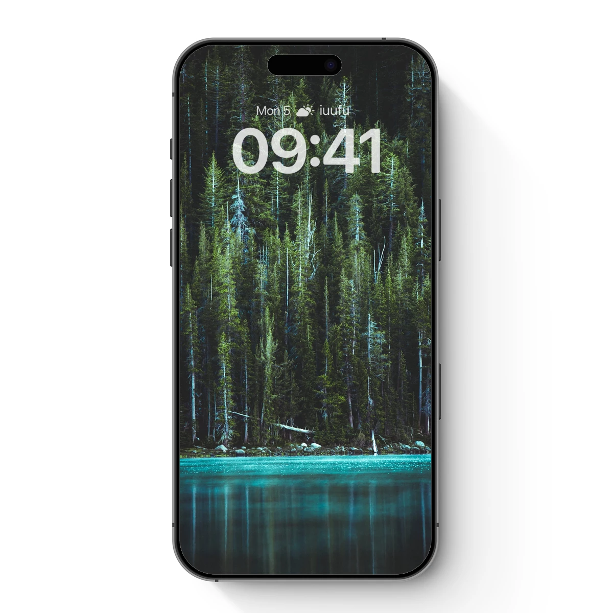 Ethereal Forest Reflections