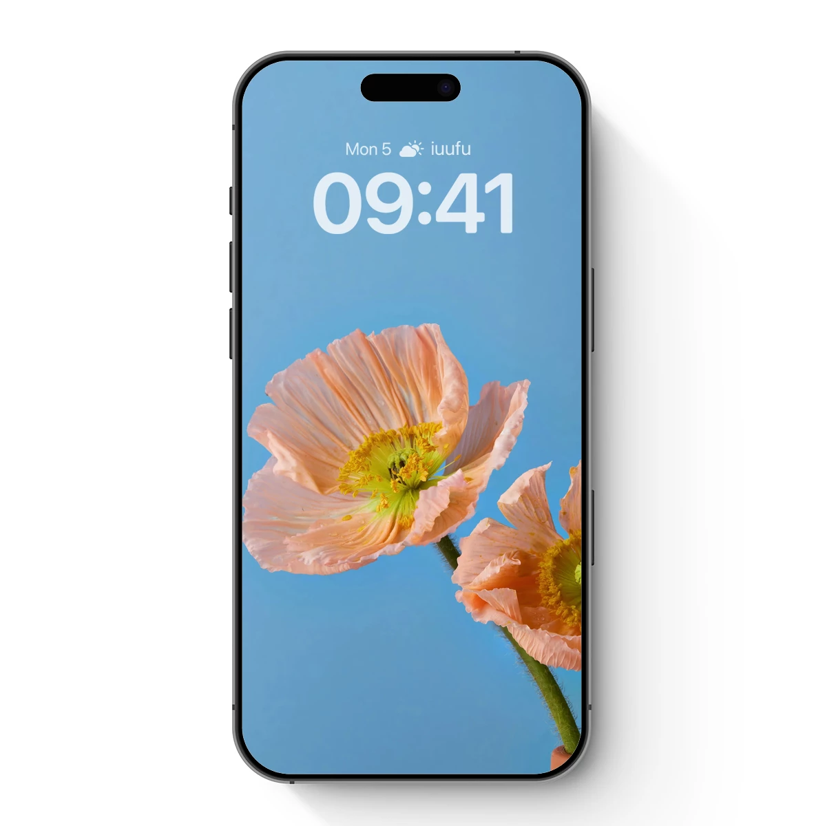 Blush Poppies in Serene Blue