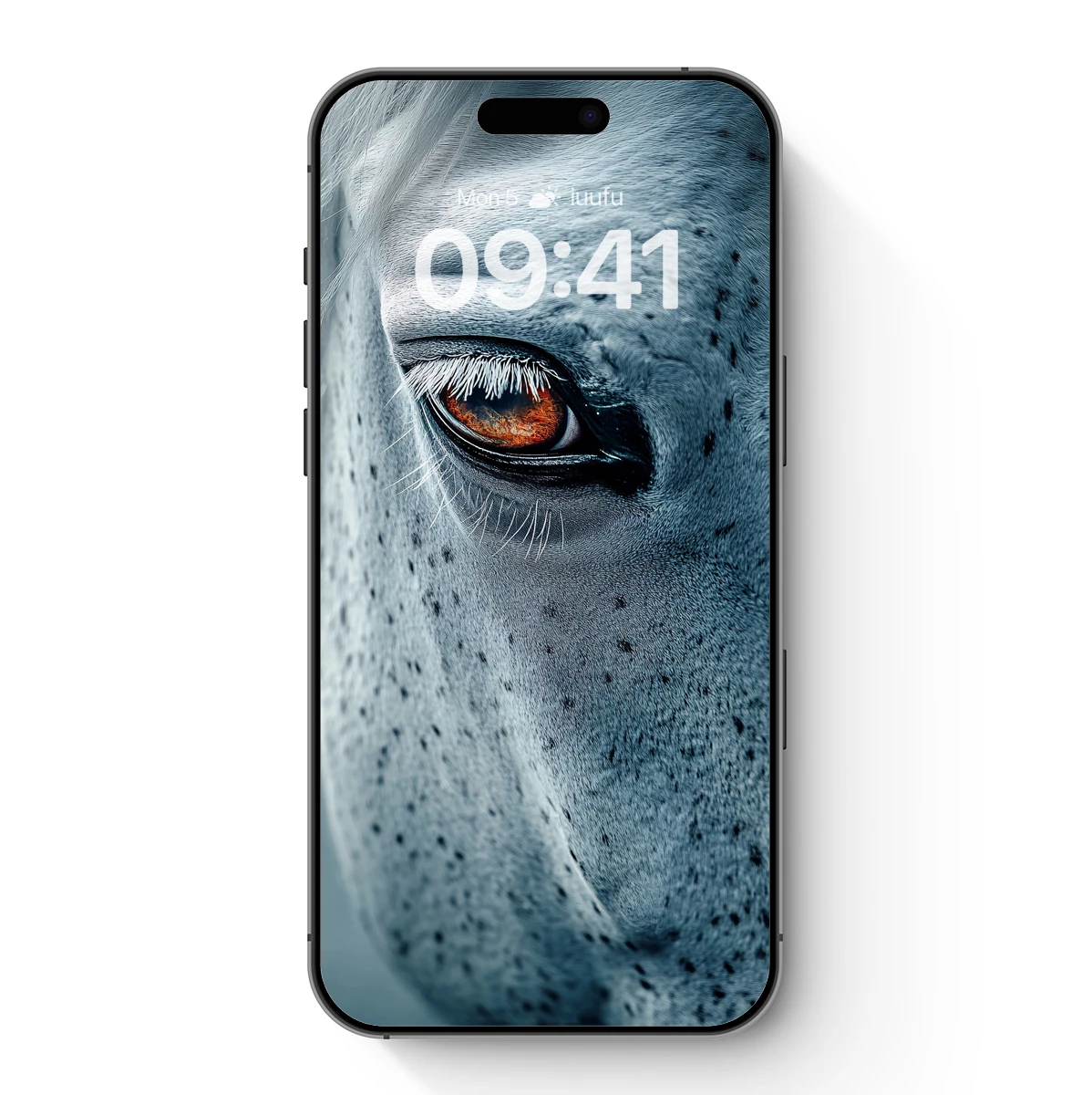 Equine Elegance: Fiery Eye in Frosty Gray