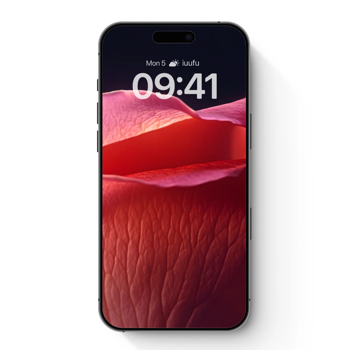 Ethereal Rose Petals: A Symphony in Soft Pink