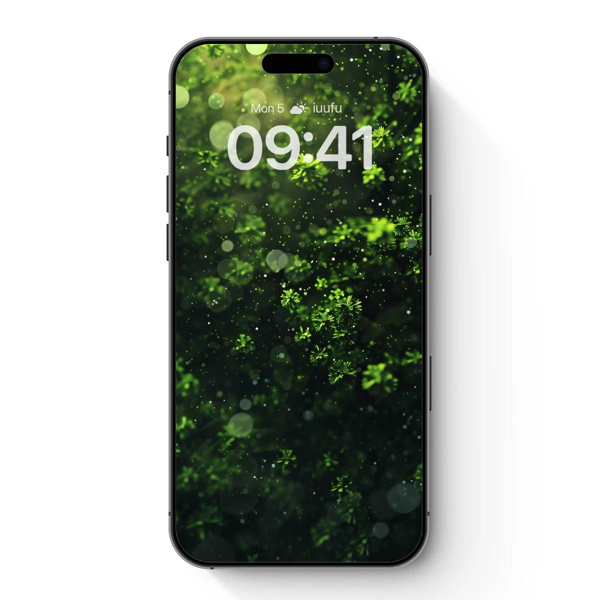 Enchanted Forest Glow: Luminous Pine Needles