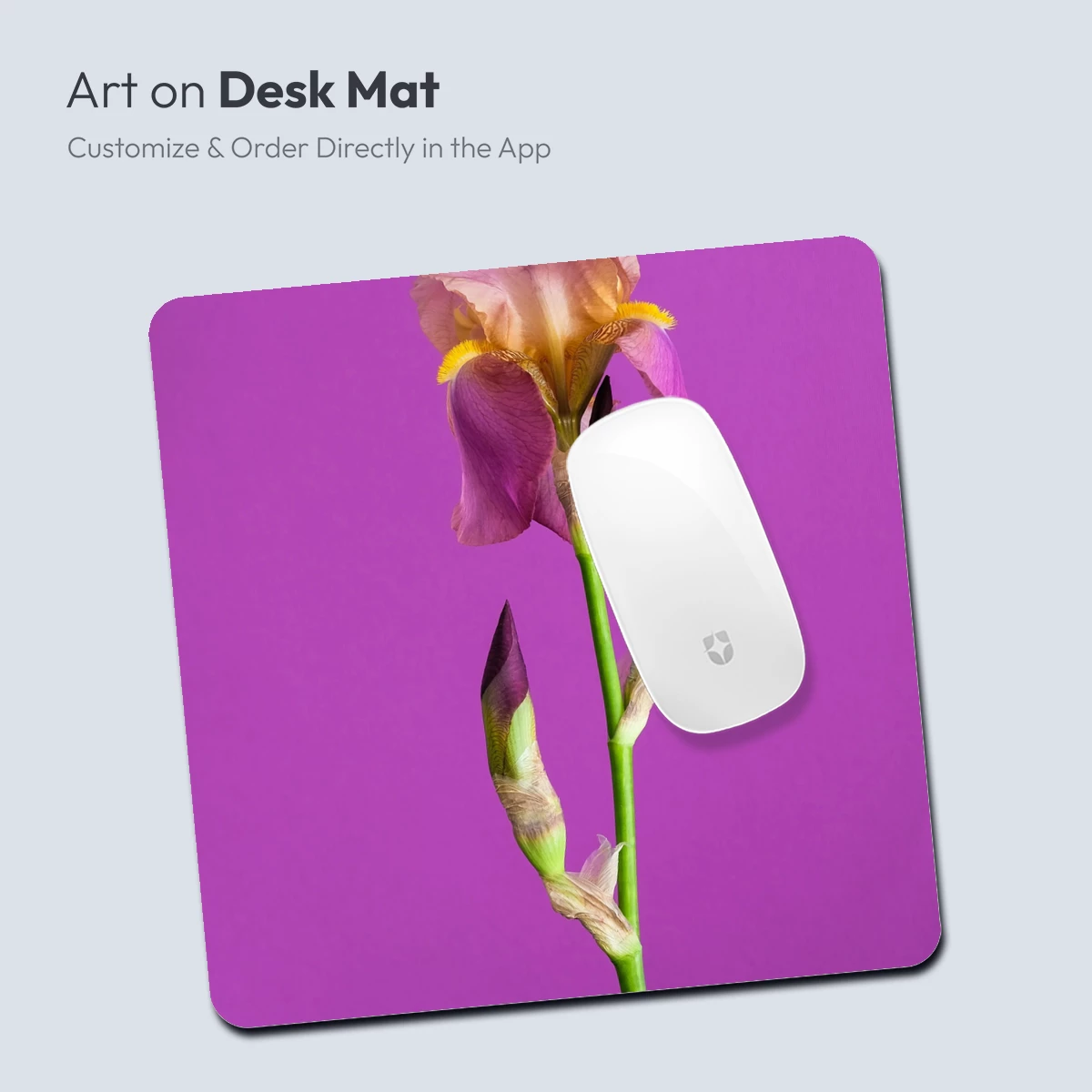 Elegant Iris in Bloom: Purple Harmony - Image 3