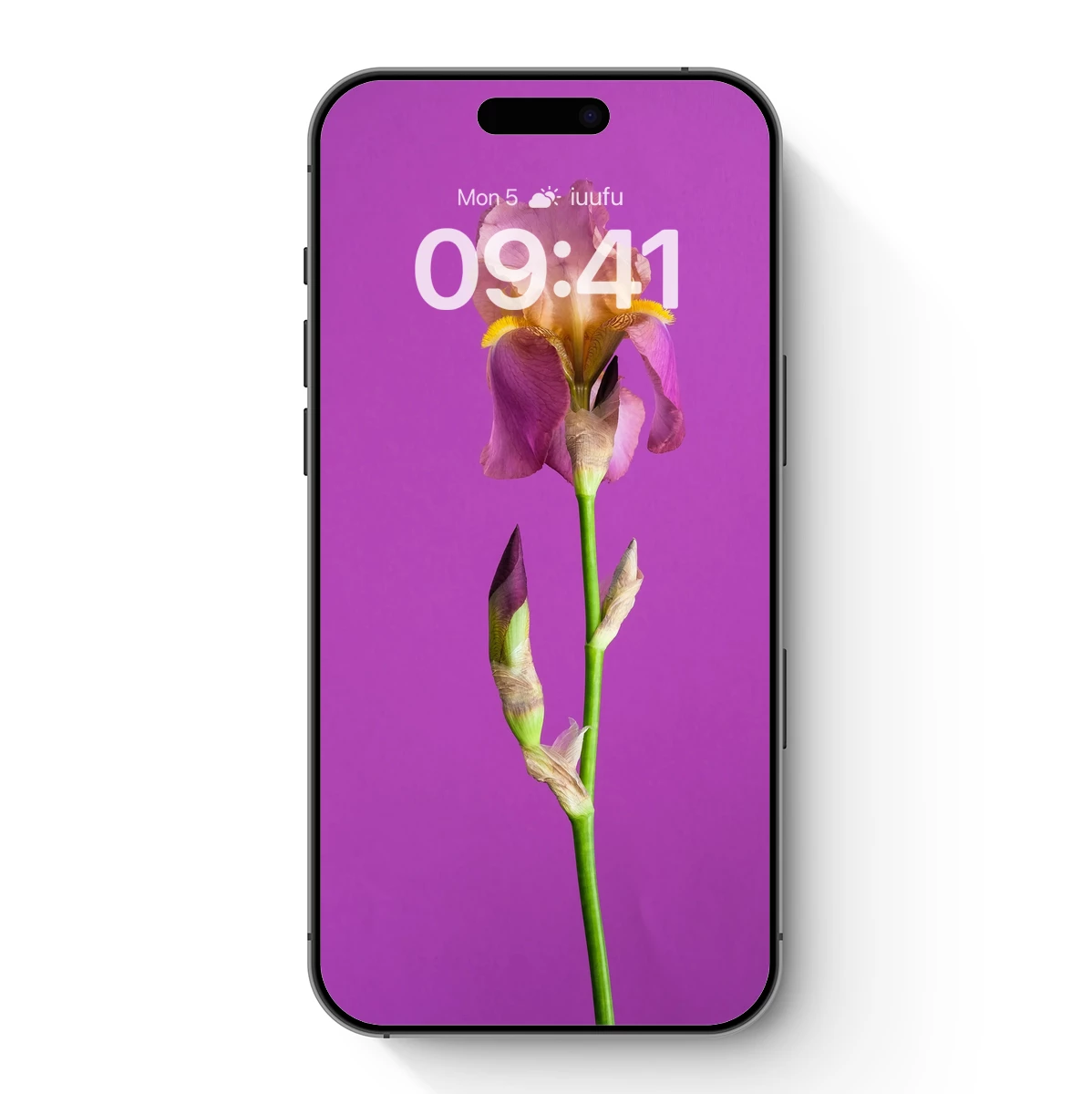 Elegant Iris in Bloom: Purple Harmony - Image 7