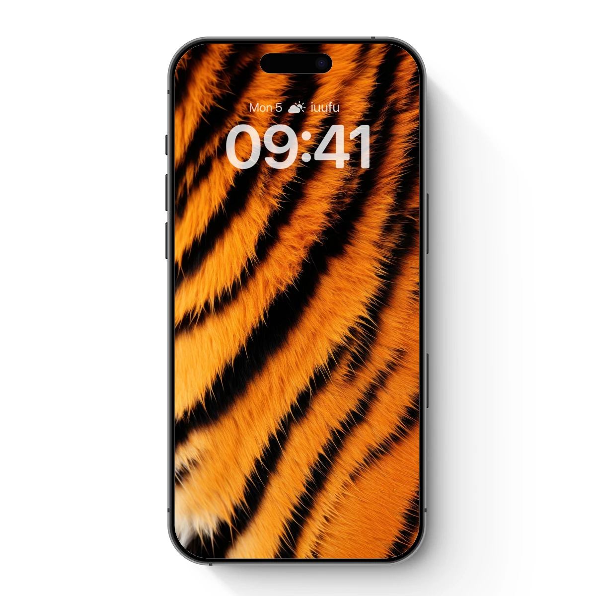 Tiger's Bold Stripes: Nature's Abstract Artistry