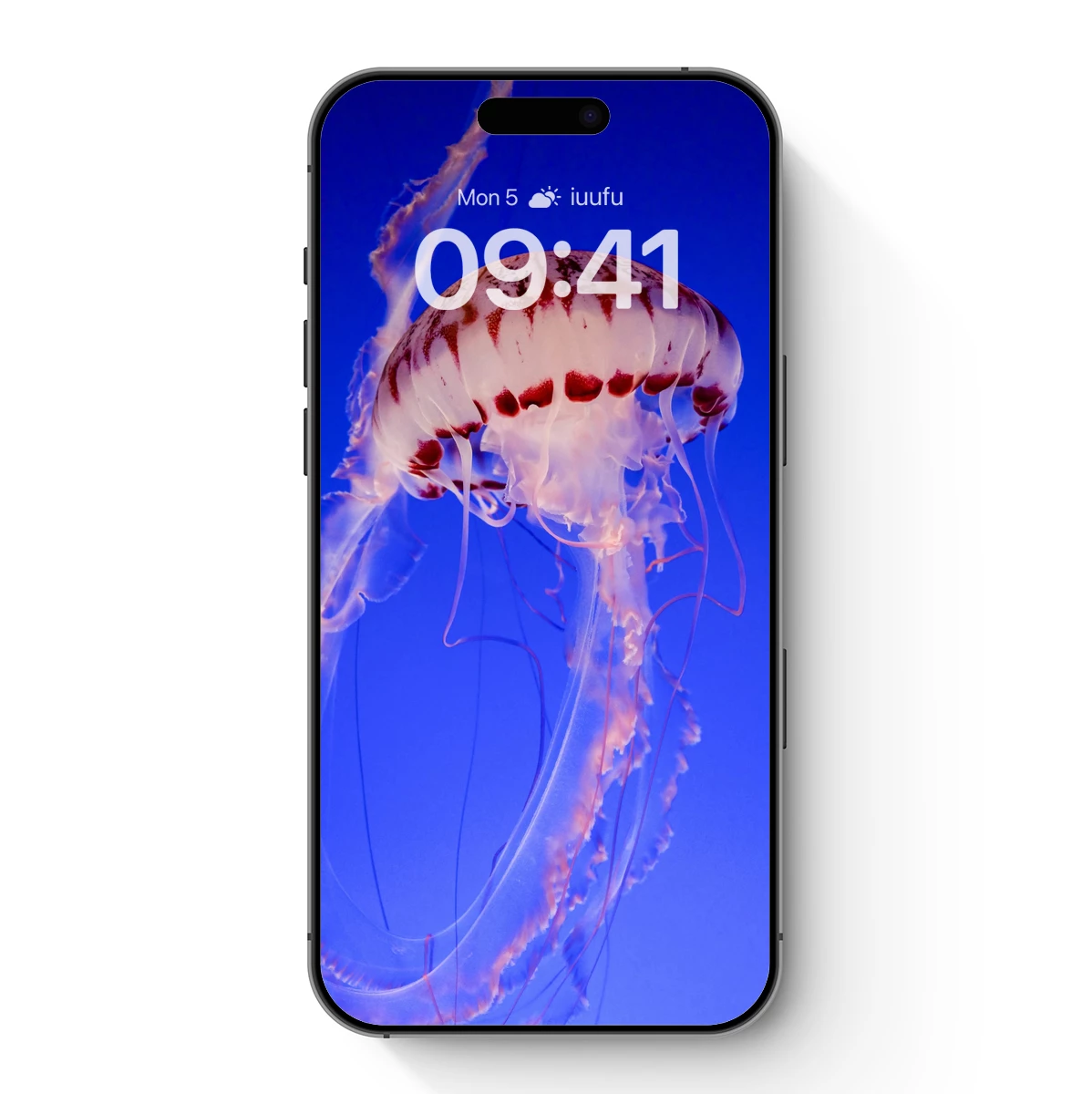 Luminous Jellyfish Odyssey Luminous Jellyfish Odyssey
