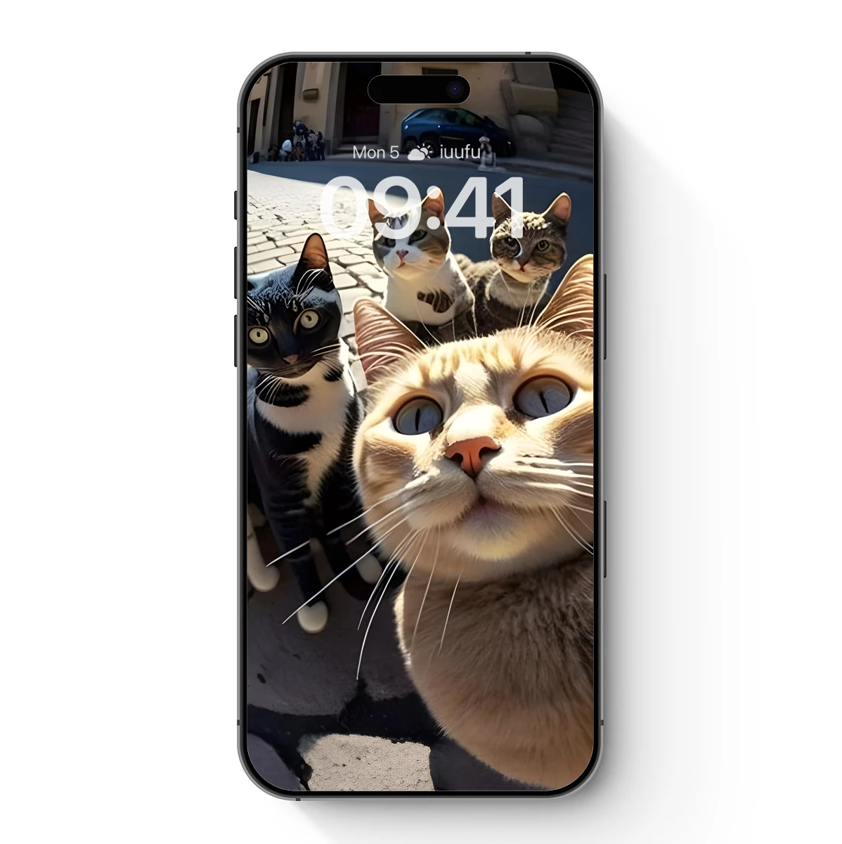 Feline Selfie Squad: Quirky Cats in Urban Charm Feline Selfie Squad: Quirky Cats in Urban Charm